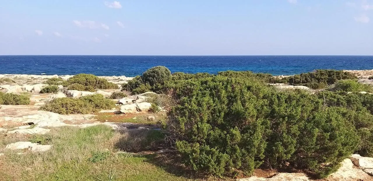 Homestay Mosaic Villa By The Sea Protaras Cyprus