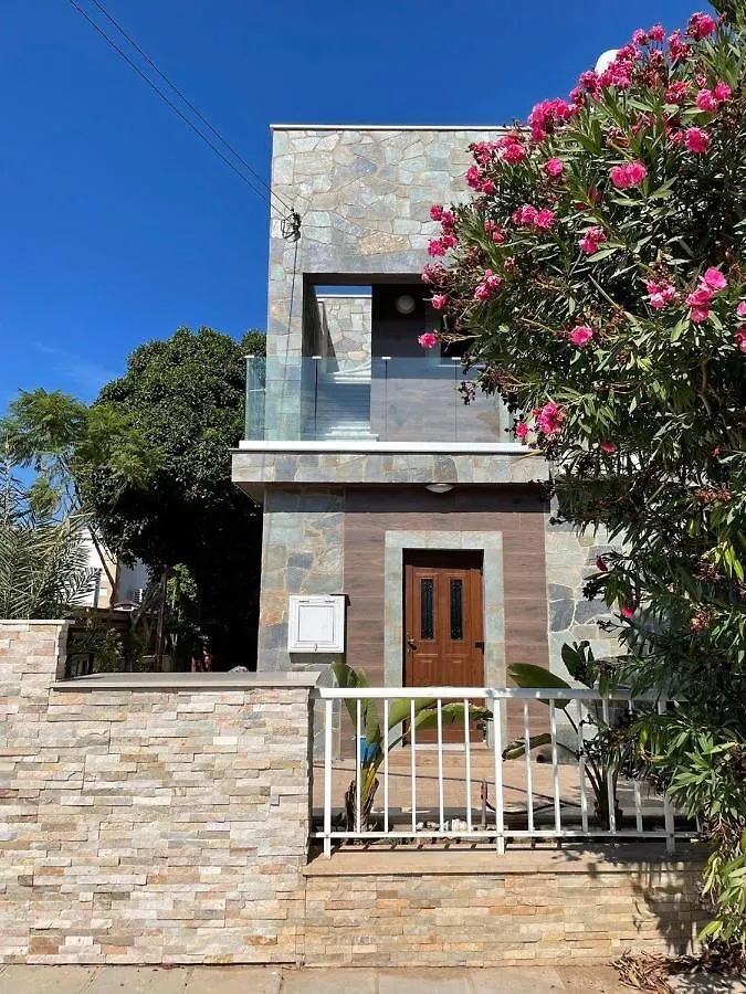 Séjour chez l'habitant Mosaic Villa By The Sea Protaras